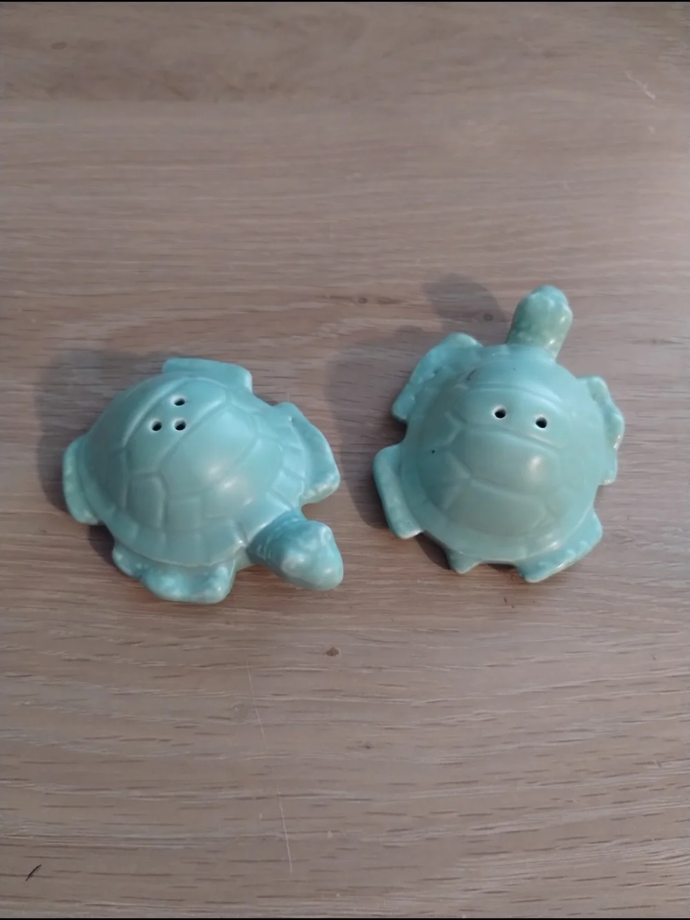 Ceramic Turtle Salt and Pepper Shaker Set - Aqua